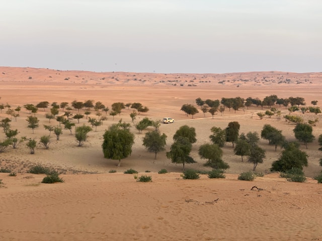 paysages désertiques