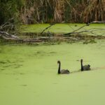 réserves naturelles