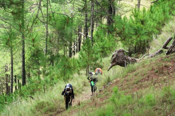 group of man walking on mountain