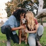 Assurances pour animaux
