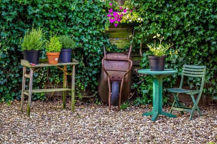 Un banc en bois dans un jardin, pouvant servir de siège pour le public.